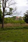 Schloss Ivenack -- Schloss Ivenack