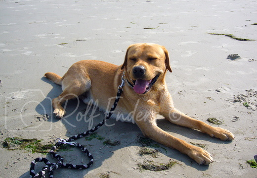 SPO September 2006 #06