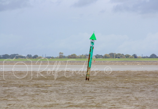 Glückstadt-Wischhafen September 2010 #06