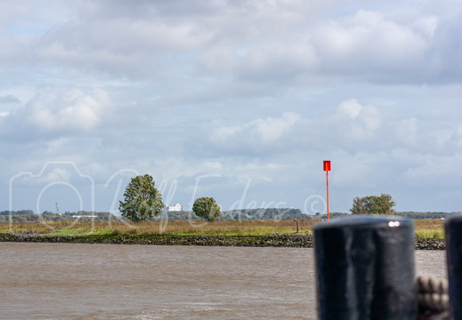 Glückstadt-Wischhafen September 2010 #04