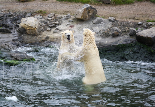 Hannover Oktober 2011 #-19