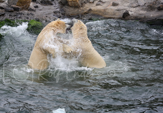 Hannover Oktober 2011 #-21