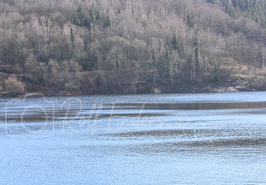 Rappbode-Talsperre März 2012 #-8