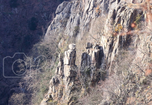 Roßtrappe März 2012 #-9