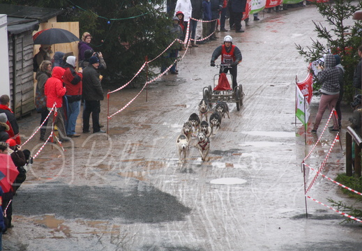 Hasselfelde Januar 2013 #-29