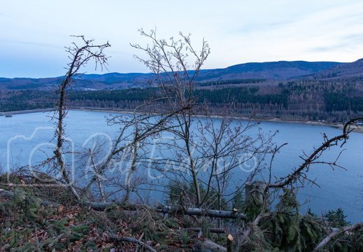 Innerste-Talsperre Dezember 2013 #-11