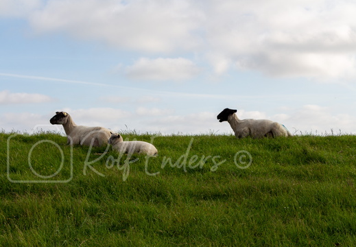 Sankt-Peter Ording Mai 2014 #-36