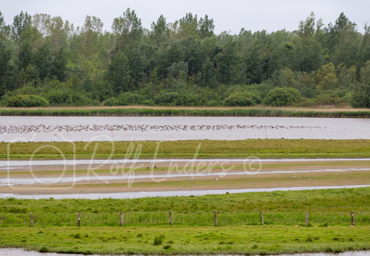 Sankt-Peter Ording Mai 2014 #-39