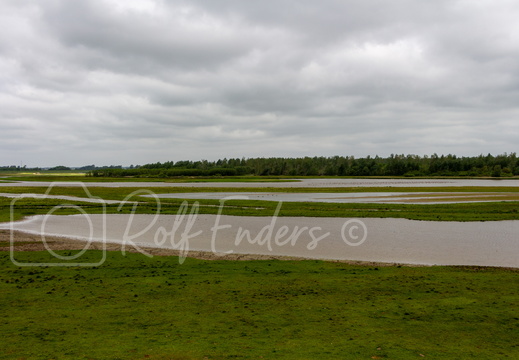 Sankt-Peter Ording Mai 2014 #-41