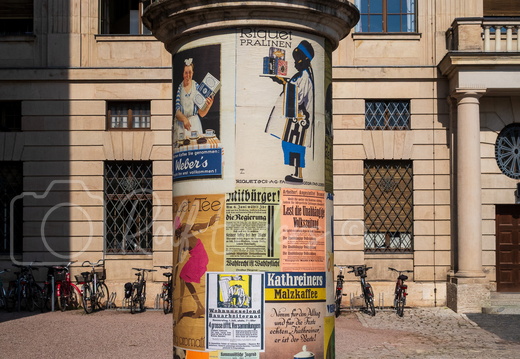 Weimar September 2018 #-28