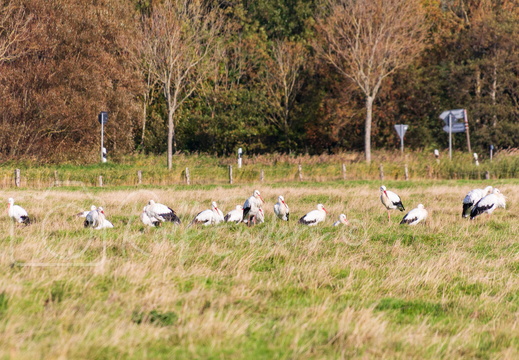 Sankt-Peter Ording September 2018 #-39