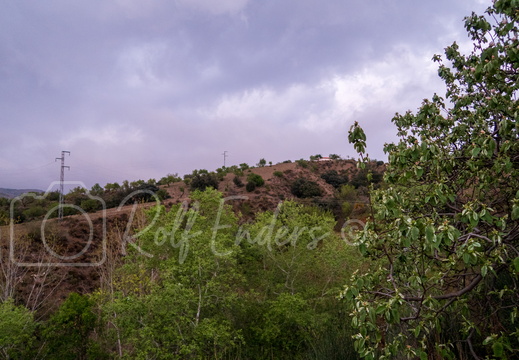 Cádiar März 2019 #-20