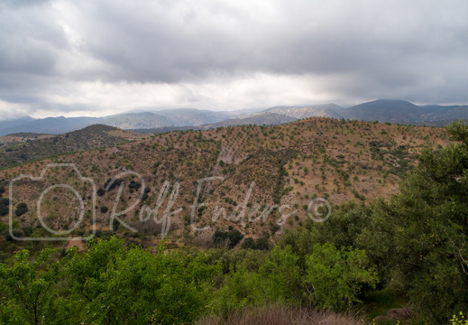 Lobras März 2019 #-11