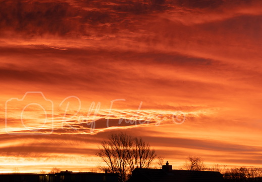 Peine Dezember 2020-11