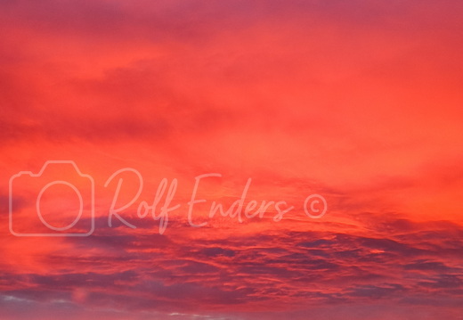 Peine Dezember 2020-3